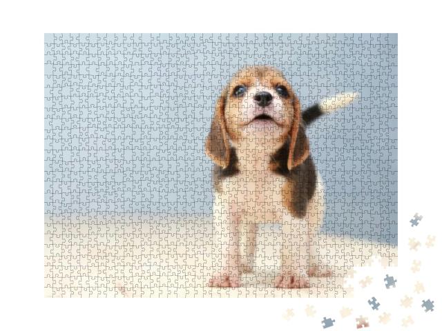 Small Cute Beagle Puppy Dog Looking Up... Jigsaw Puzzle with 1000 pieces