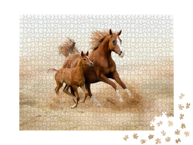 Purebred White Arabian Horse in Desert... Jigsaw Puzzle with 1000 pieces