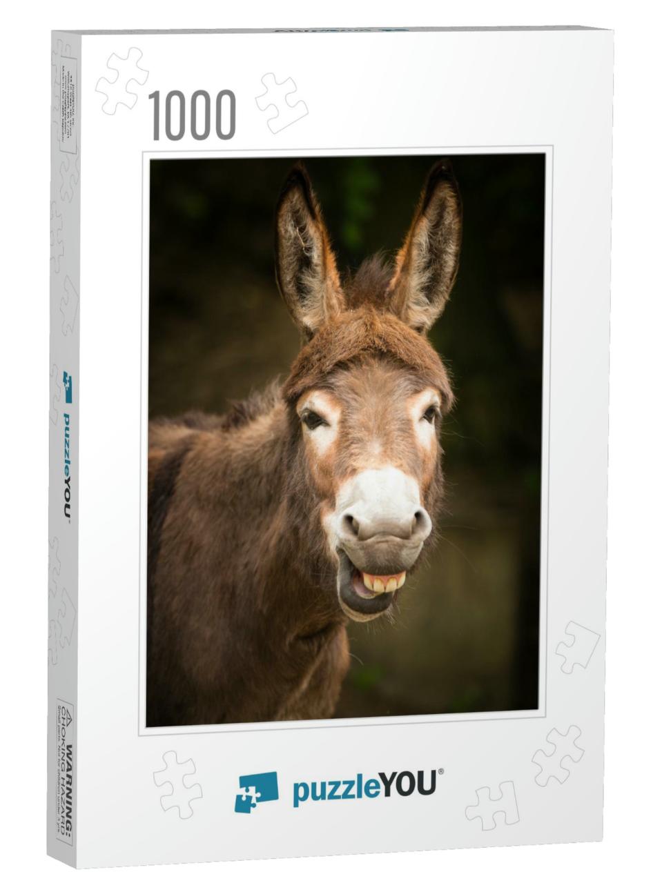 Funny Smiling Donkey... Jigsaw Puzzle with 1000 pieces