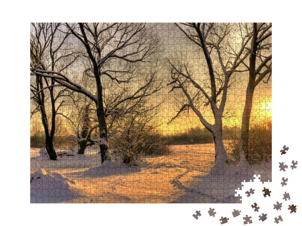 Beautiful Winter Sunset with Trees in the Snow... Jigsaw Puzzle with 1000 pieces