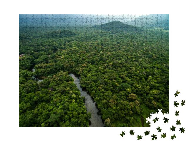 Aerial View of River in Rainforest, Latin America... Jigsaw Puzzle with 1000 pieces