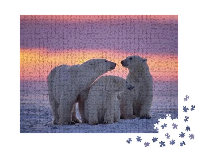 Polar Bear Family in Canadian Arctic Sunset... Jigsaw Puzzle with 1000 pieces