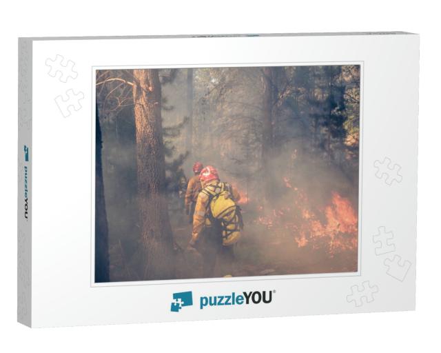Fire Jobs in Patagonia Argentina... Jigsaw Puzzle