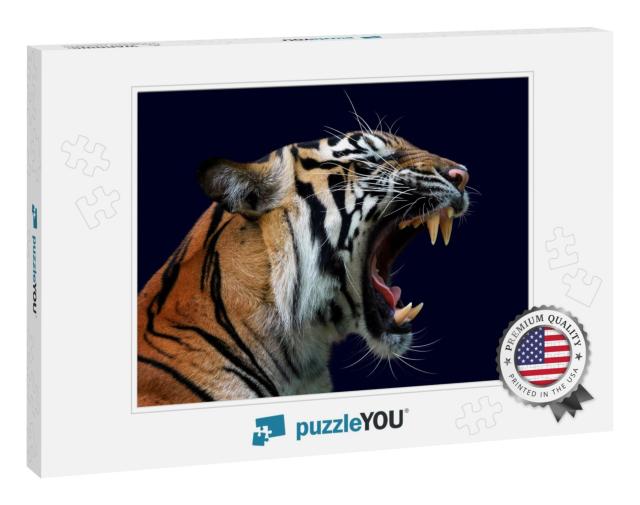 Angry Face of Sumatran Tiger, Animal Angry, Head of Tiger... Jigsaw Puzzle