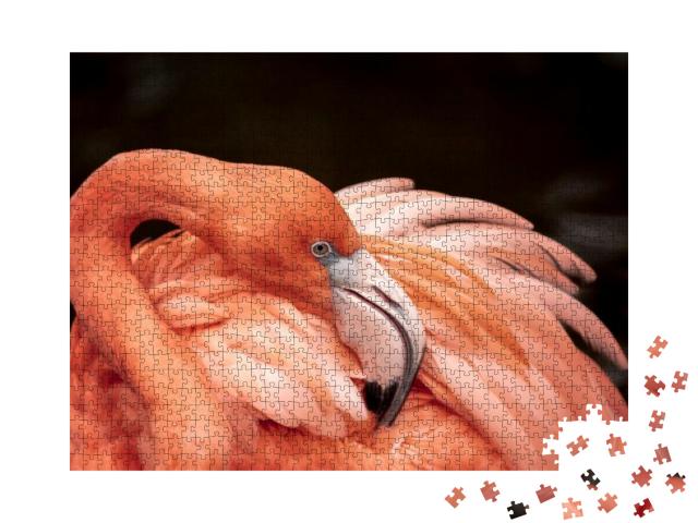 Flamingo Neck Twisting & Wing Feathers... Jigsaw Puzzle with 1000 pieces