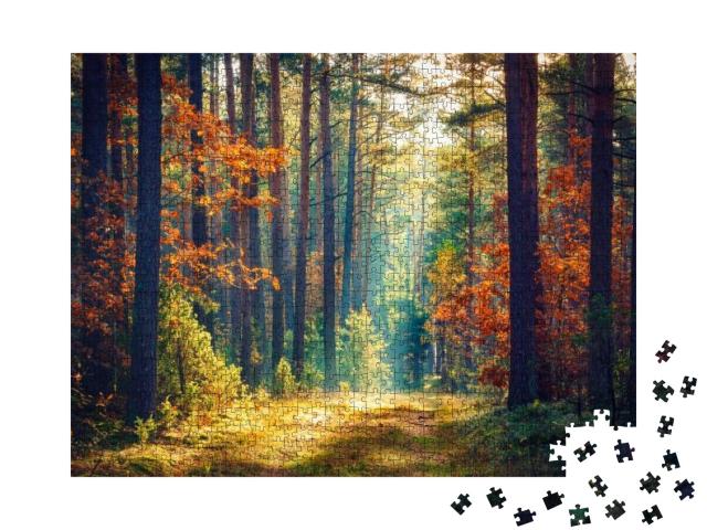 Autumn Forest Nature. Vivid Morning in Colorful Forest wi... Jigsaw Puzzle with 1000 pieces