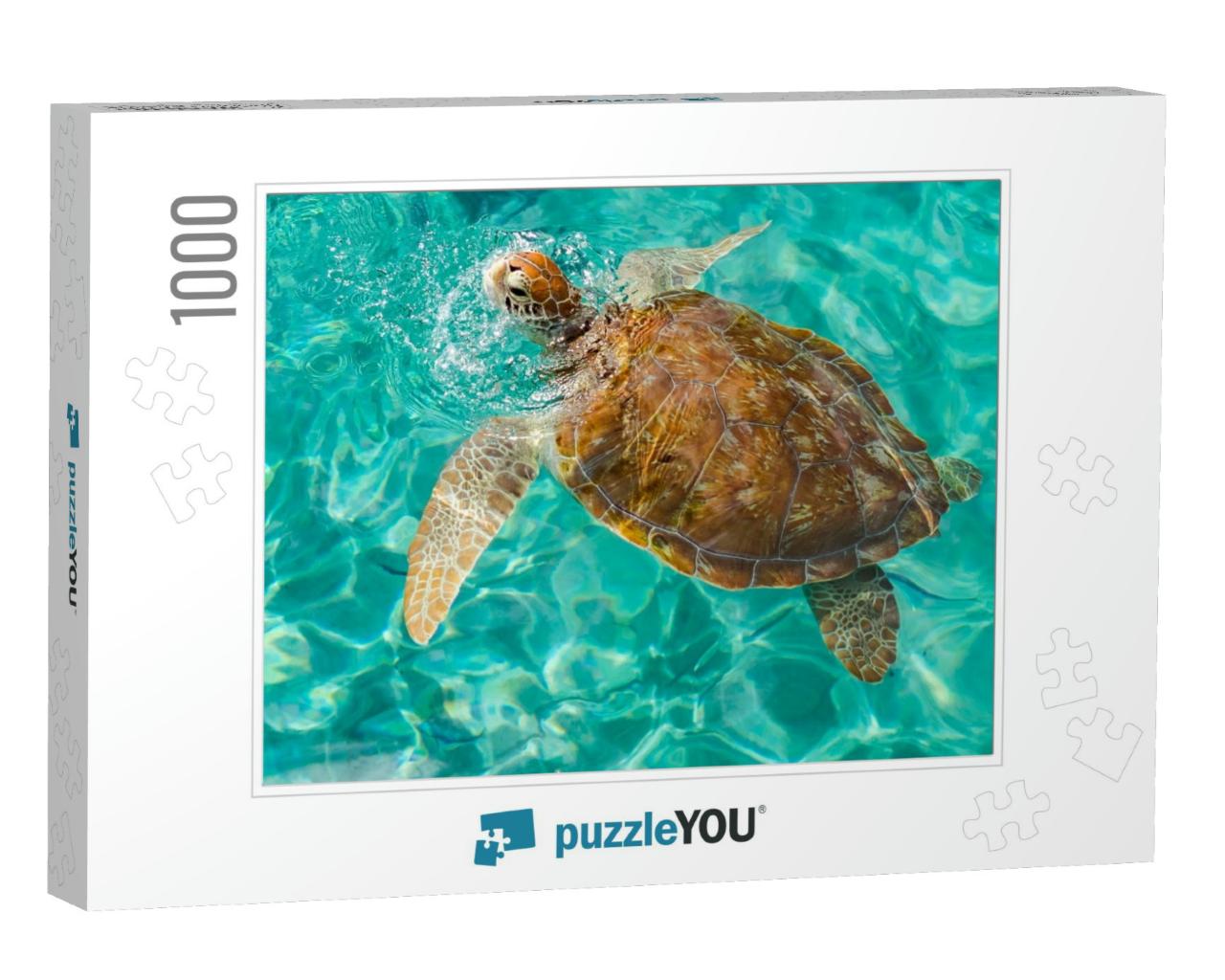 Westpunt Turtle Swimming Views Around the Caribbean Islan... Jigsaw Puzzle with 1000 pieces