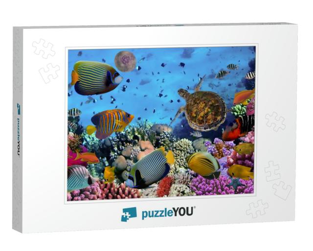 Colorful Coral Reef with Many Fishes & Sea Turtle... Jigsaw Puzzle