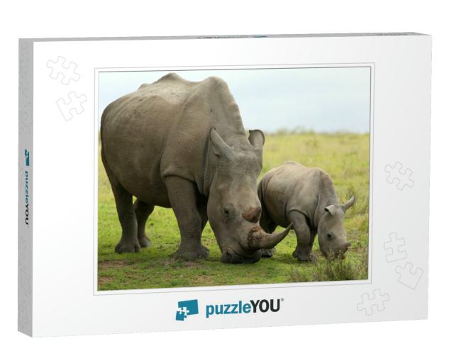 A Close Up of a Female Rhino / Rhinoceros & Her Calf. Sho... Jigsaw Puzzle