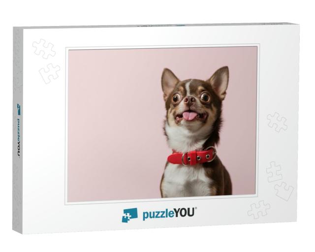 Cute Brown Mexican Chihuahua Dog with Tongue Out Isolated... Jigsaw Puzzle