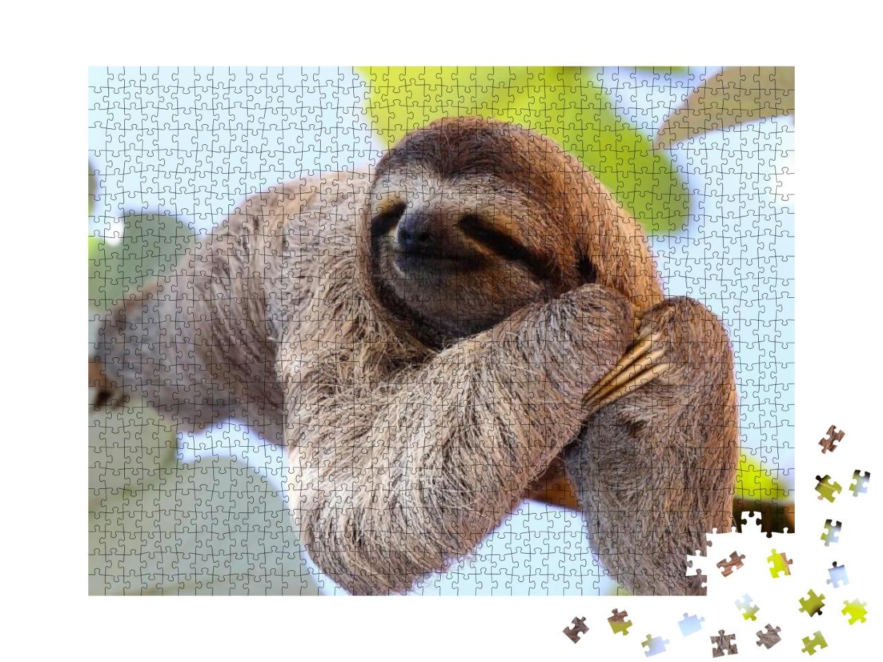 Happy Sloth Hanging on the Tree... Jigsaw Puzzle with 1000 pieces