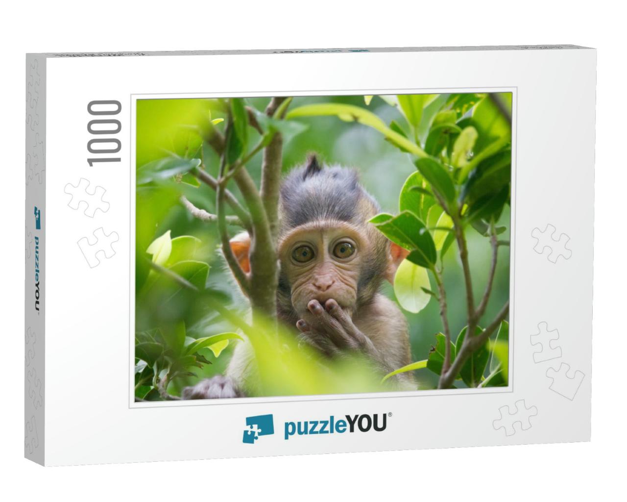 A Cute Monkey Lives in a Natural Forest of Thailand... Jigsaw Puzzle with 1000 pieces