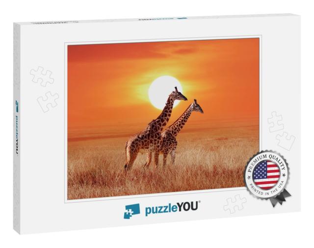 Giraffe in the African Savanna Against the Backdrop of Be... Jigsaw Puzzle