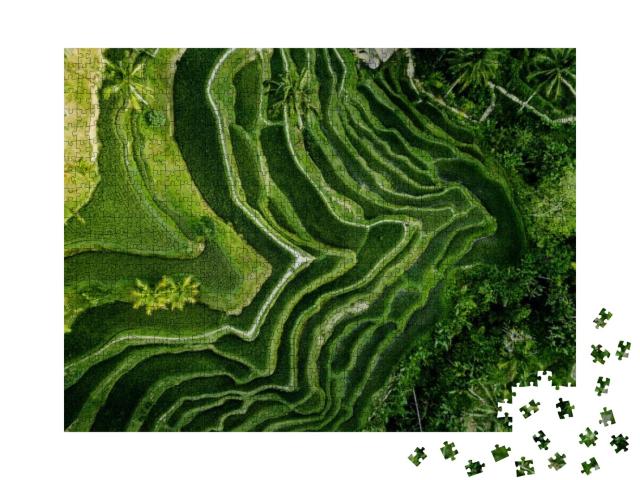 Drone View of Rice Plantation in Bali with Path to Walk A... Jigsaw Puzzle with 1000 pieces