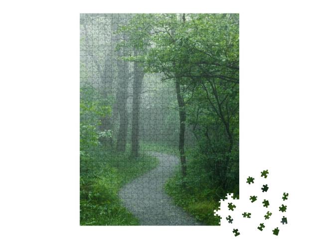 Foggy Hiking Trail in Shenandoah National Park Shortly Af... Jigsaw Puzzle with 1000 pieces