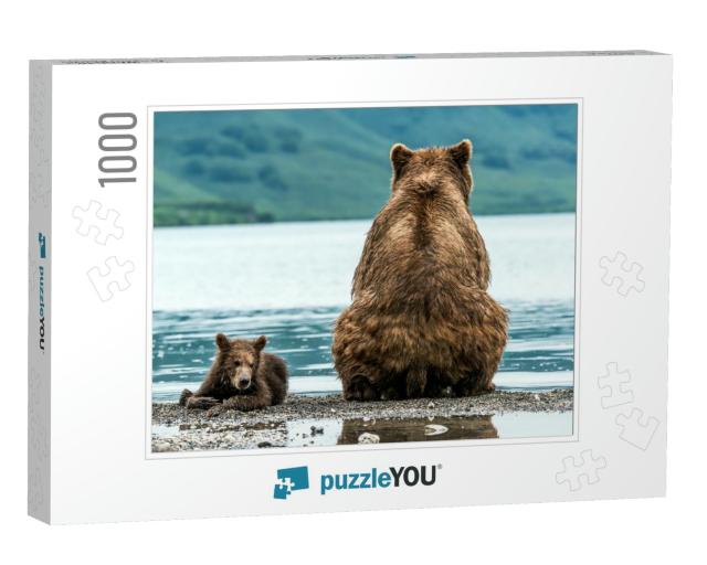 Mother Bear with Cub on the Beach... Jigsaw Puzzle with 1000 pieces