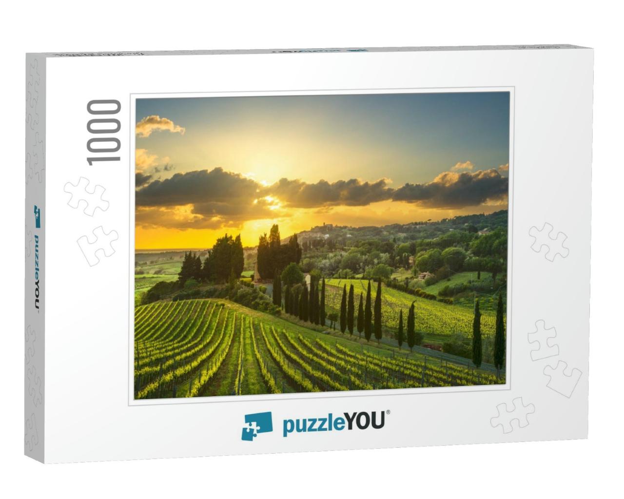 Casale Marittimo Village, Vineyards & Countryside Landsca... Jigsaw Puzzle with 1000 pieces