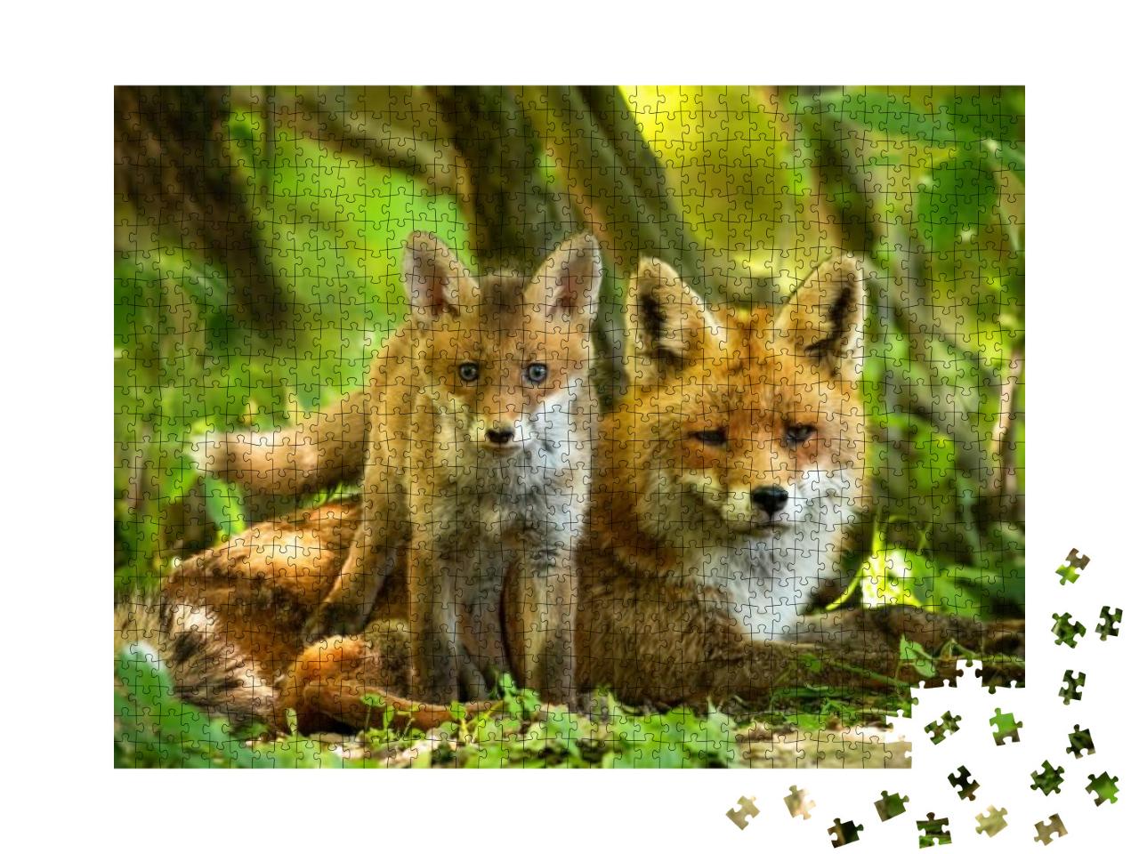 Enchanting Red Fox, Vulpes Vulpes, Family Resting in Gree... Jigsaw Puzzle with 1000 pieces