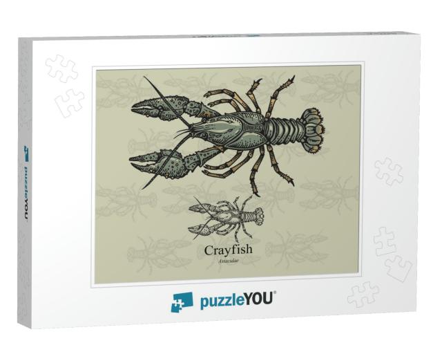 Crayfish. Vector Illustration with Refined Details... Jigsaw Puzzle