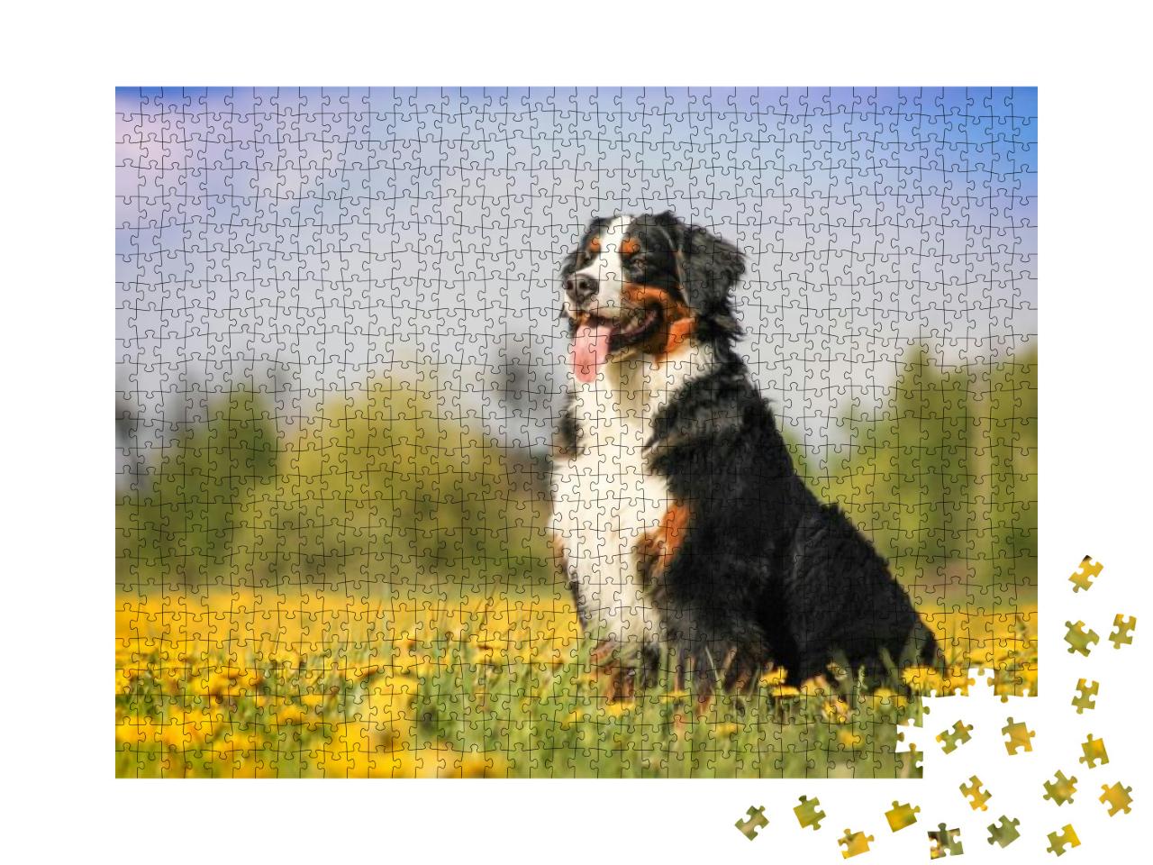 Happy Bernese Mountain Dog in Beautiful Spring Flowered F... Jigsaw Puzzle with 1000 pieces