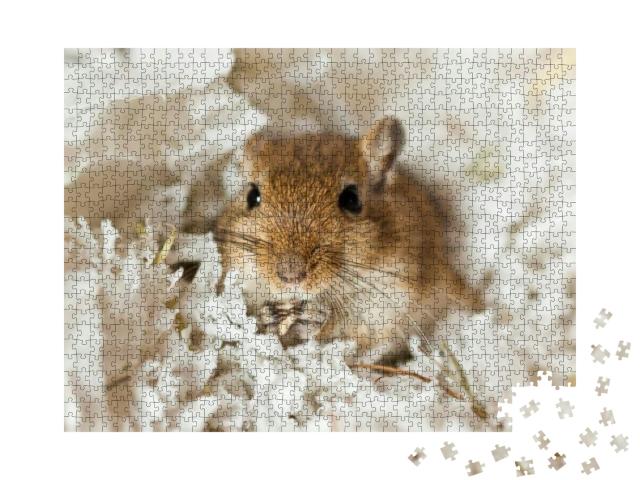 Mongolian Gerbils Meriones as a Pet... Jigsaw Puzzle with 1000 pieces