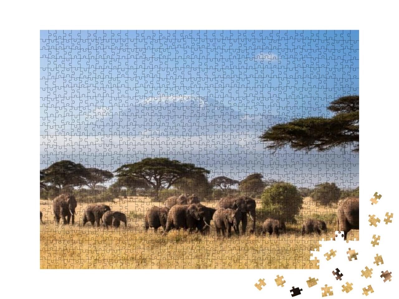 Herd of African Elephants Walking in the African Savannah... Jigsaw Puzzle with 1000 pieces