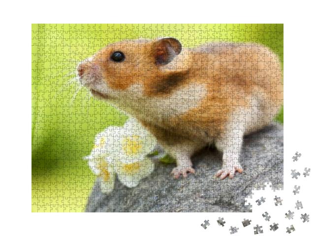 Cute Hamster Syrian Hamster on a Stone... Jigsaw Puzzle with 1000 pieces