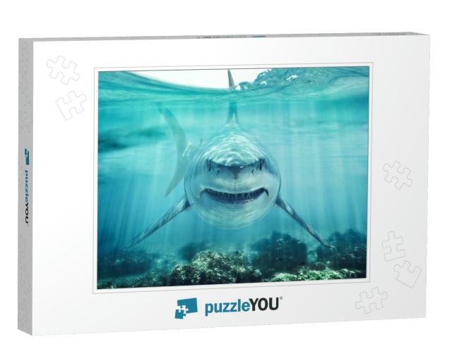 A Predator Great White Shark Swimming in the Ocean Coral... Jigsaw Puzzle