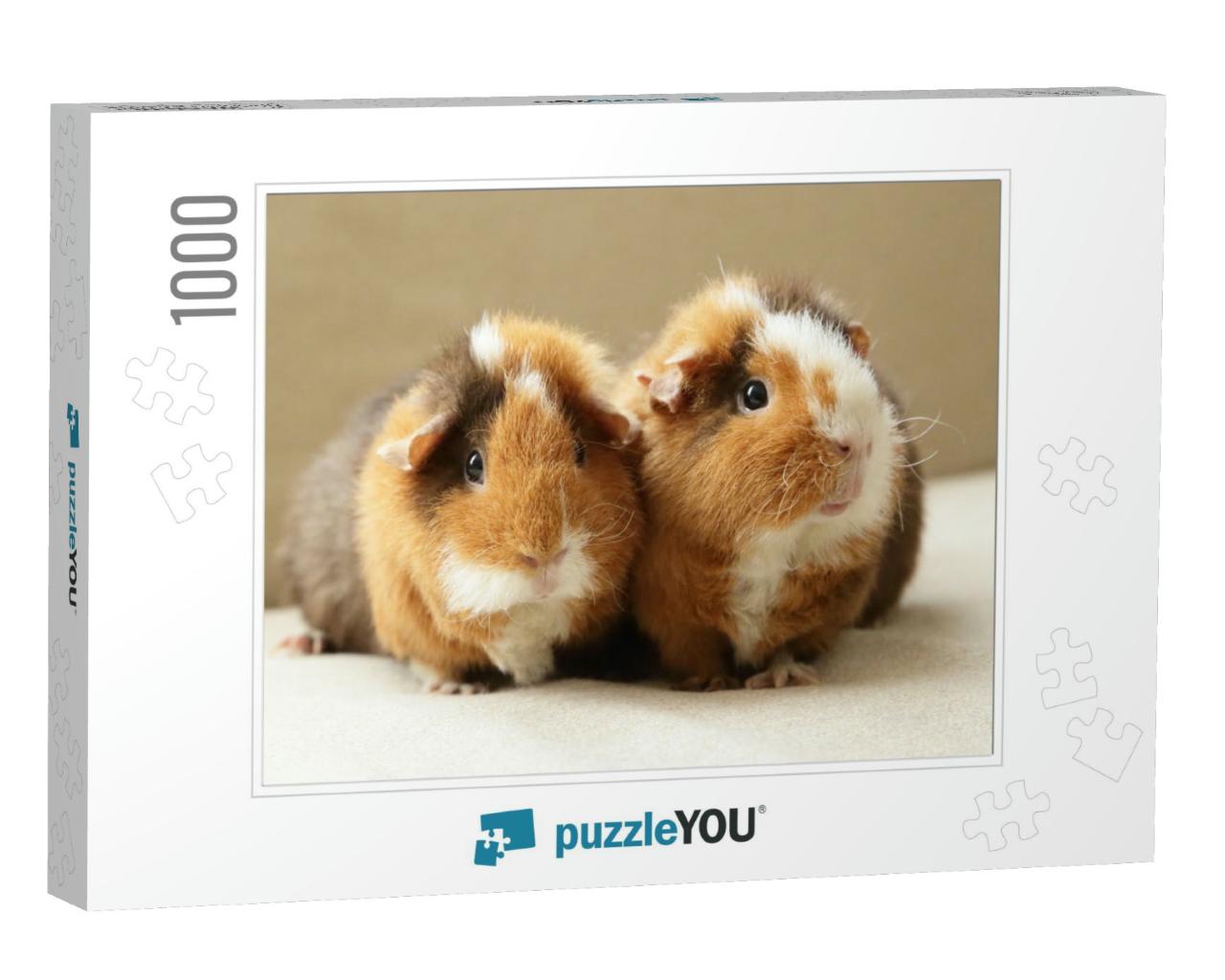 Cute Guinea Pigs... Jigsaw Puzzle with 1000 pieces