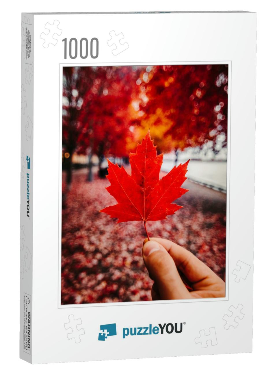 Red Canadian Maple Leaf in Fall/Autumn Setting - Red Leaf... Jigsaw Puzzle with 1000 pieces