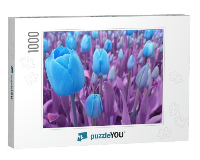 Blue Tulips Against Pink Background. Blue Tulips Against... Jigsaw Puzzle with 1000 pieces