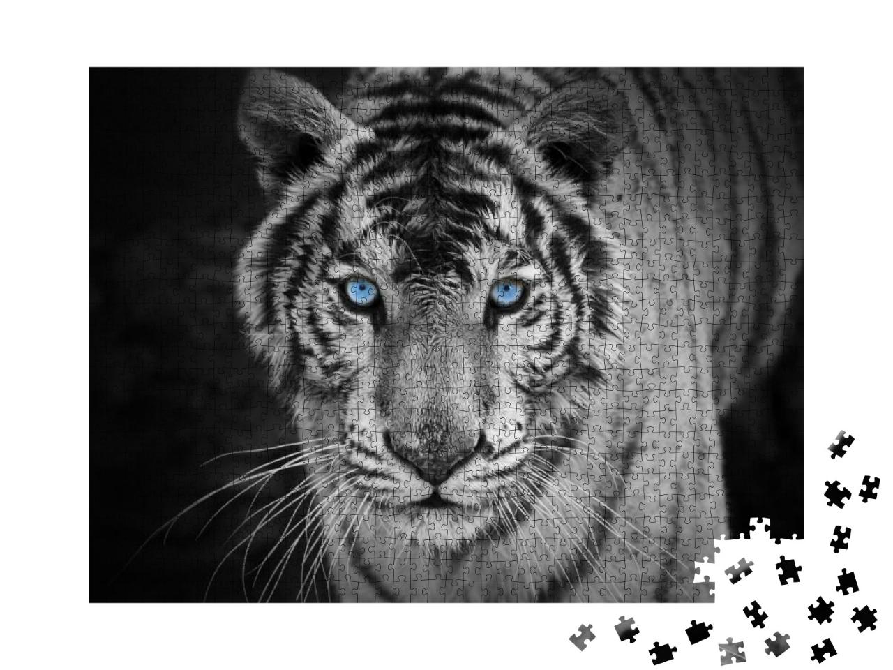 White Tiger... Jigsaw Puzzle with 1000 pieces
