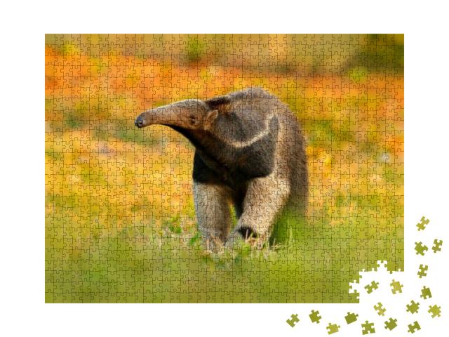 Anteater, Cute Animal from Brazil. Giant Anteater, Myrmec... Jigsaw Puzzle with 1000 pieces