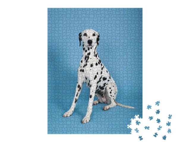 Dalmatian Dog on Blue Background, Dalmatian Dog... Jigsaw Puzzle with 1000 pieces