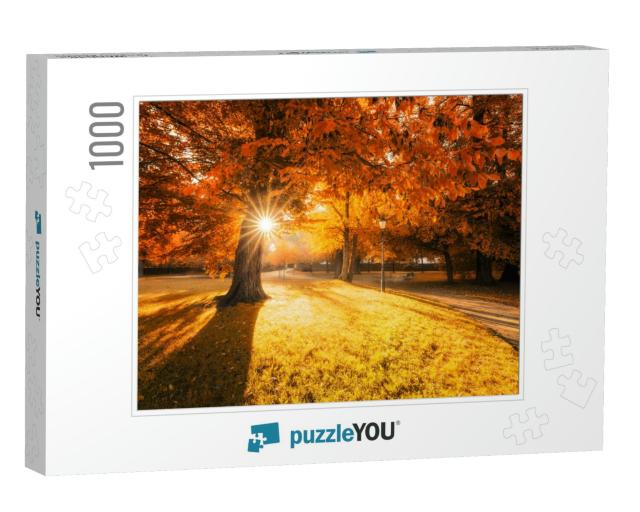 Sunrise in the Park Lustgarten of Wernigerode... Jigsaw Puzzle with 1000 pieces