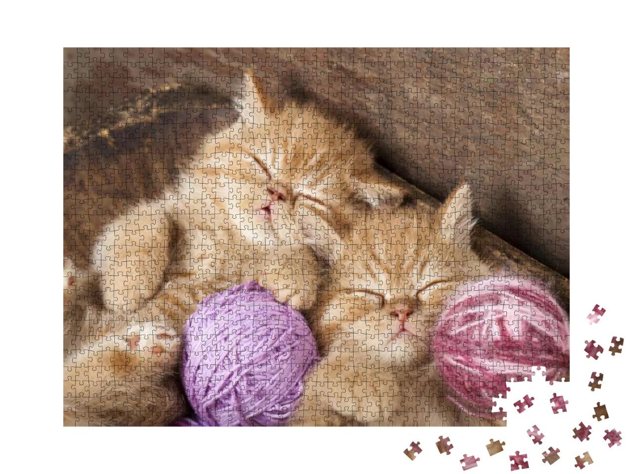 Exotic Kittens Sleeping with a Ball of Wool... Jigsaw Puzzle with 1000 pieces