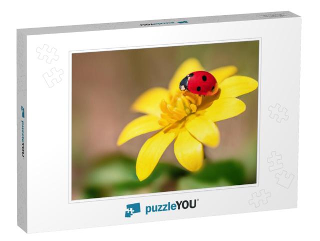 Chamomile & Yellow Flowers with Ladybug... Jigsaw Puzzle