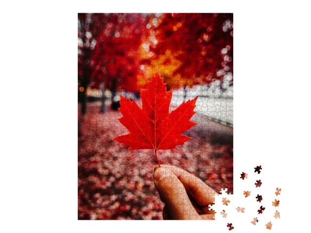 Red Canadian Maple Leaf in Fall/Autumn Setting - Red Leaf... Jigsaw Puzzle with 1000 pieces