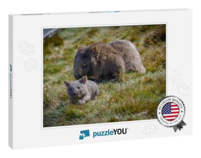 Joey Wombat Running from Its Mother in Cradle Mountain, T... Jigsaw Puzzle