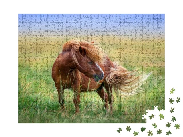 Pony with Long Mane & Tail Standing in Green Grass... Jigsaw Puzzle with 1000 pieces