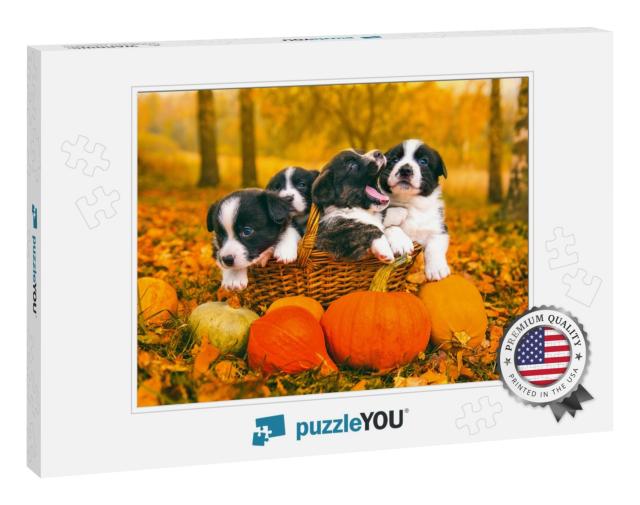 Funny Happy Welsh Corgi Pembroke Puppies Dogs Posing in t... Jigsaw Puzzle