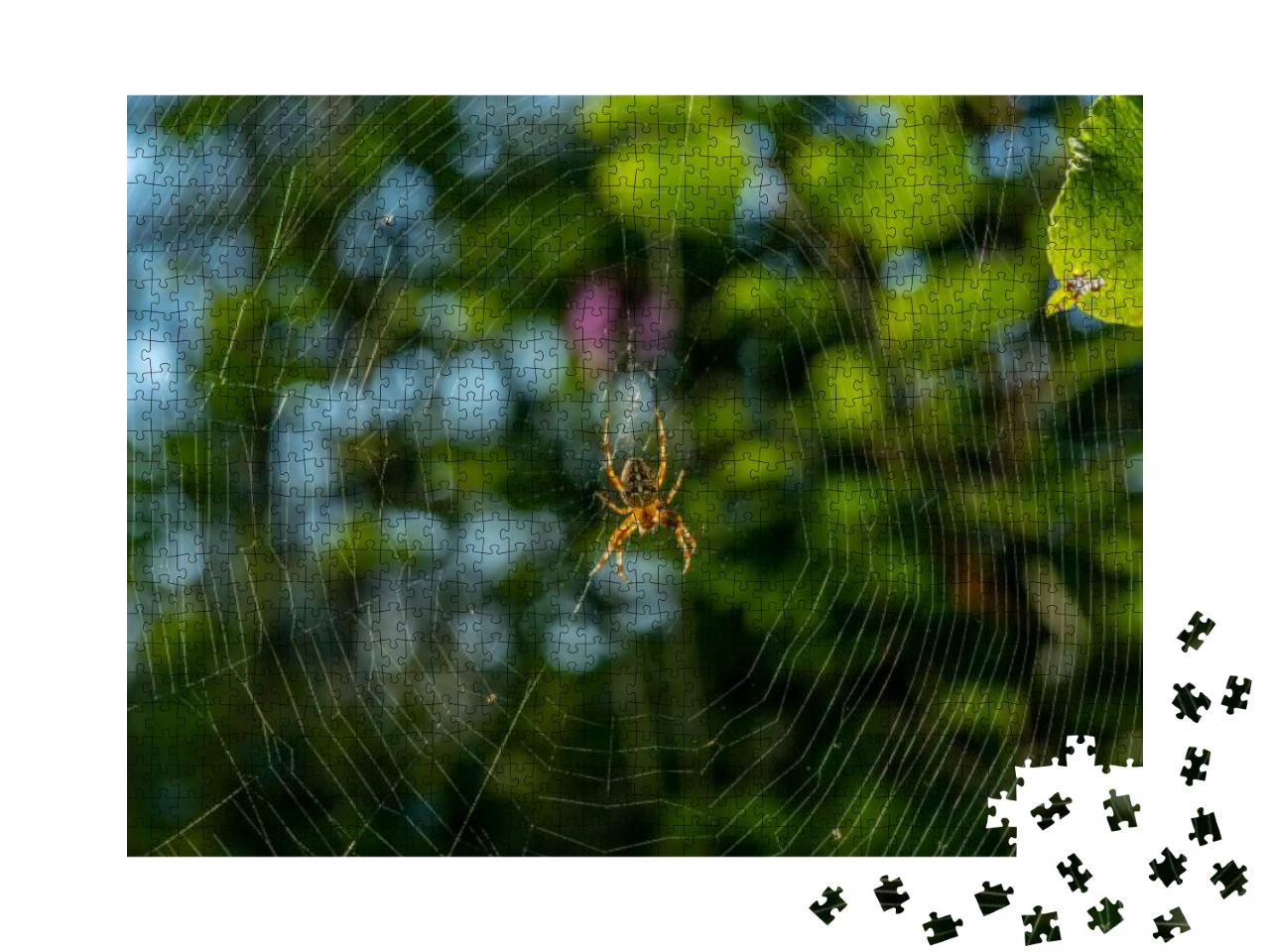 Detailed Close Up of a Large Garden Spider or Cross Spide... Jigsaw Puzzle with 1000 pieces