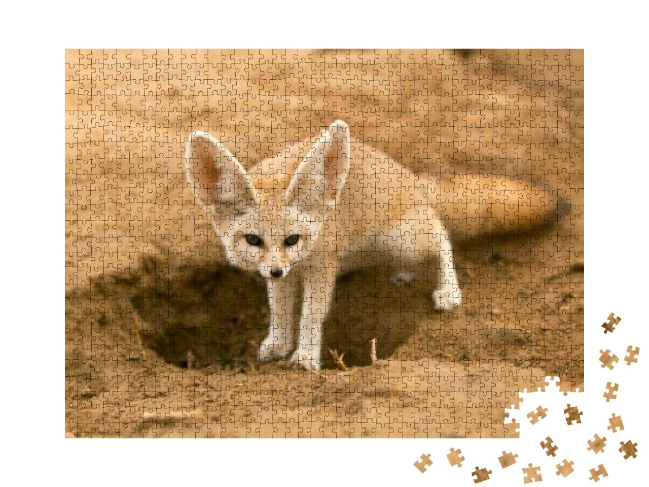 Fennec Fox... Jigsaw Puzzle with 1000 pieces