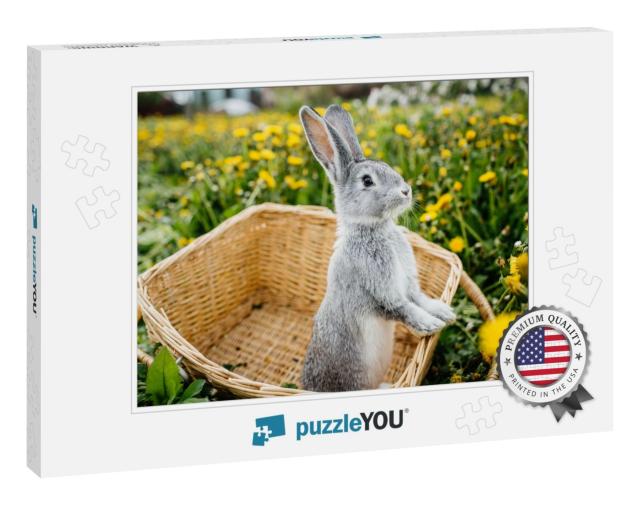 Gray Rabbit in the Garden in the Basket... Jigsaw Puzzle
