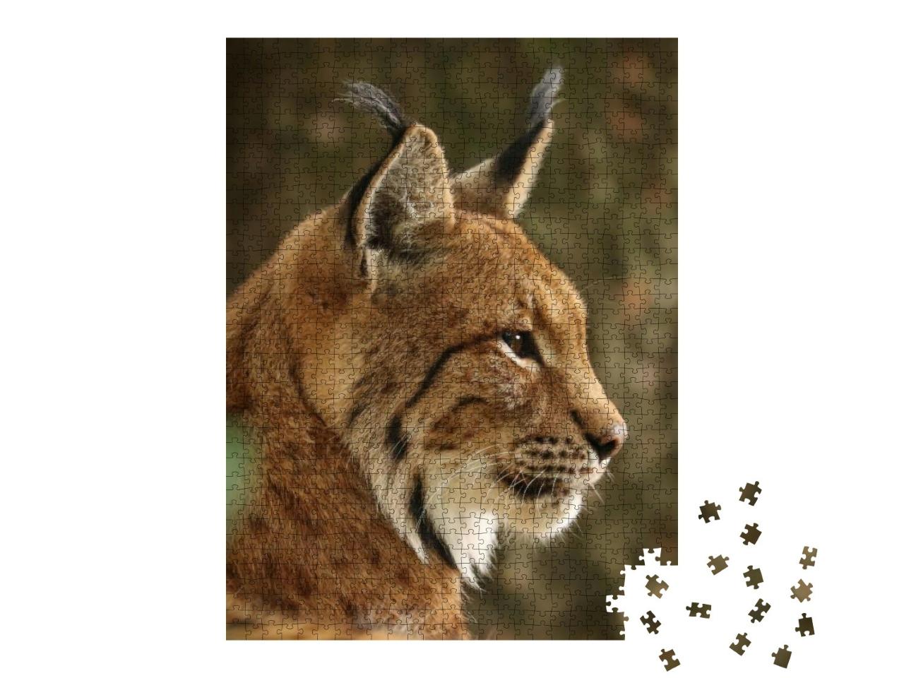 Profile of Eurasian Lynx Lynx Lynx. Closeup of Bobcat Hea... Jigsaw Puzzle with 1000 pieces