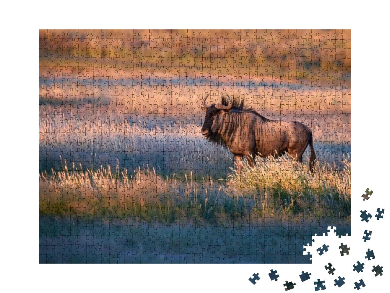 Blue Wildebeest, Connochaetes Taurinus, Large Antelope Wa... Jigsaw Puzzle with 1000 pieces