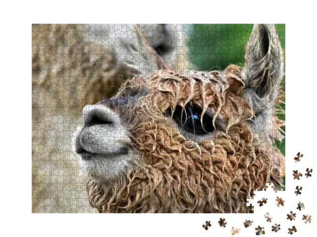 The Head of Small Cute Lama Alpaca. Wet Alpaca, Muzzle De... Jigsaw Puzzle with 1000 pieces