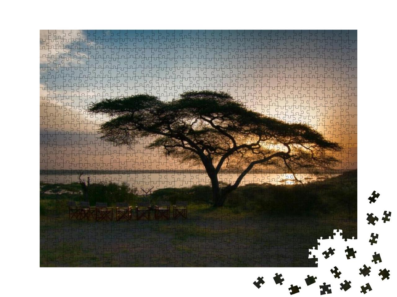 Tourist Using the Outhouse in the Bush, Serengeti, Tanzan... Jigsaw Puzzle with 1000 pieces
