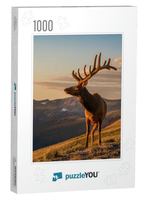 Wild Elk in the West... Jigsaw Puzzle with 1000 pieces