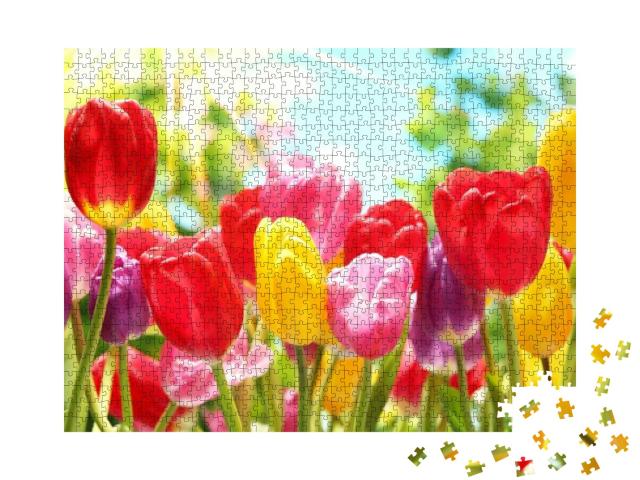 Fresh Colorful Tulips in Warm Sunlight... Jigsaw Puzzle with 1000 pieces